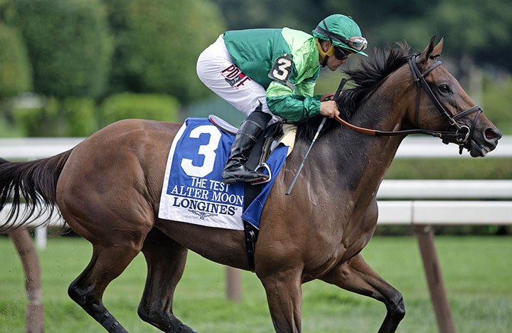 Alter Moon finishes fourth in the Test Stakes