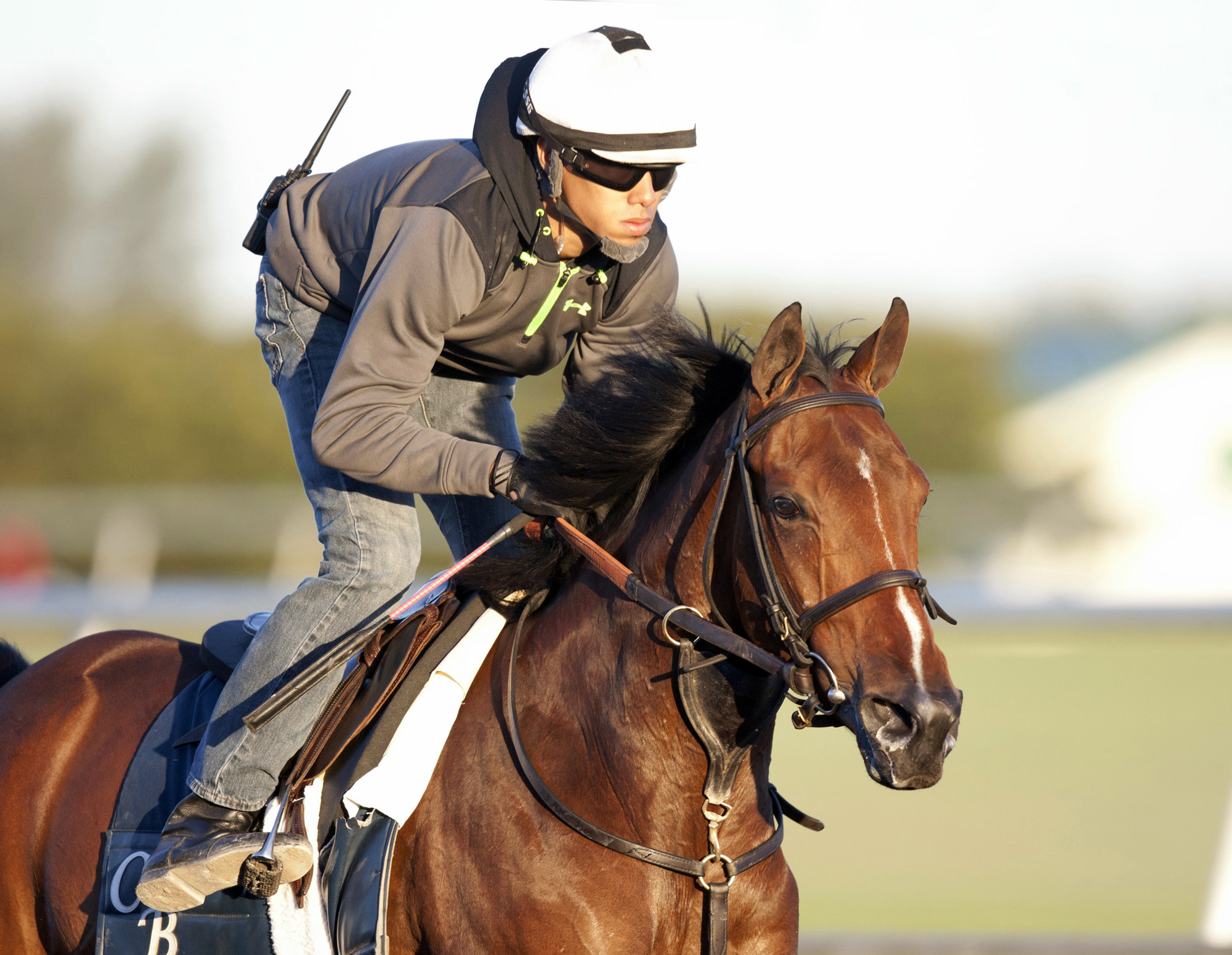 Alterite training in January