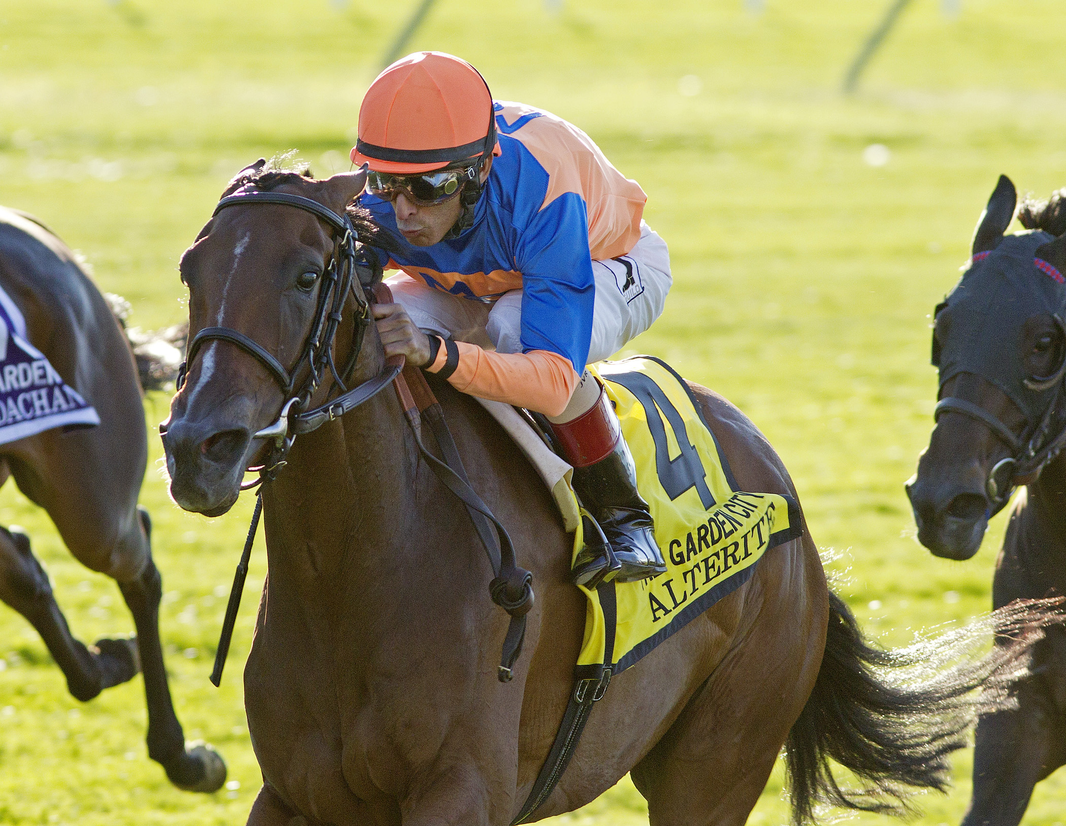 Alterite wins the Garden City