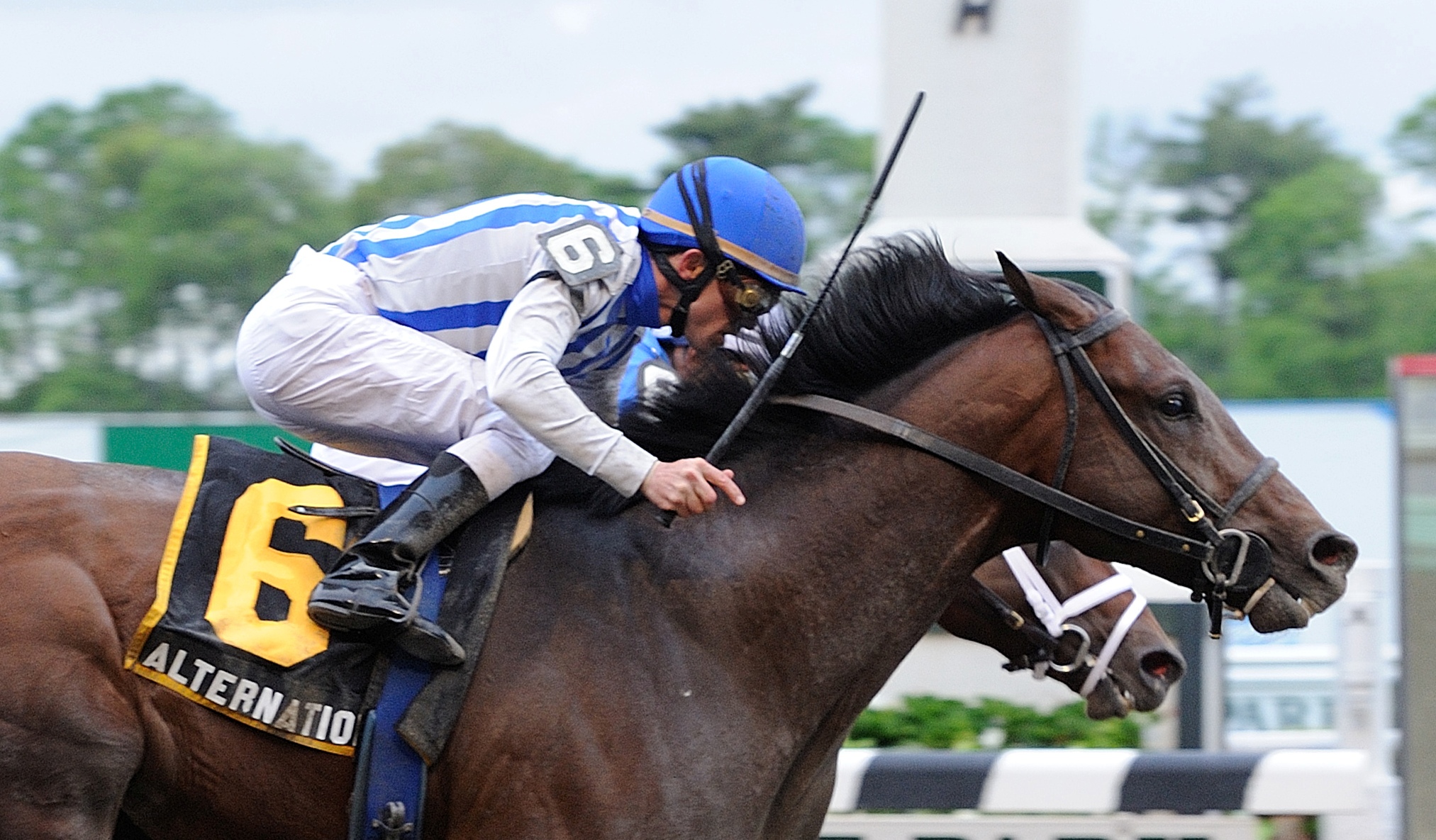 Belmont Stakes: Alternation works five furlongs at Arlington