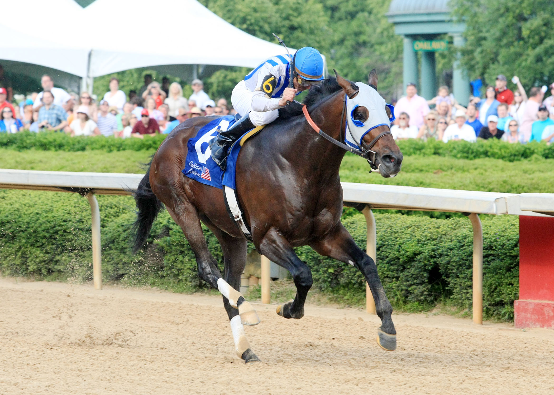 Alternation/2012 Oaklawn Handicap