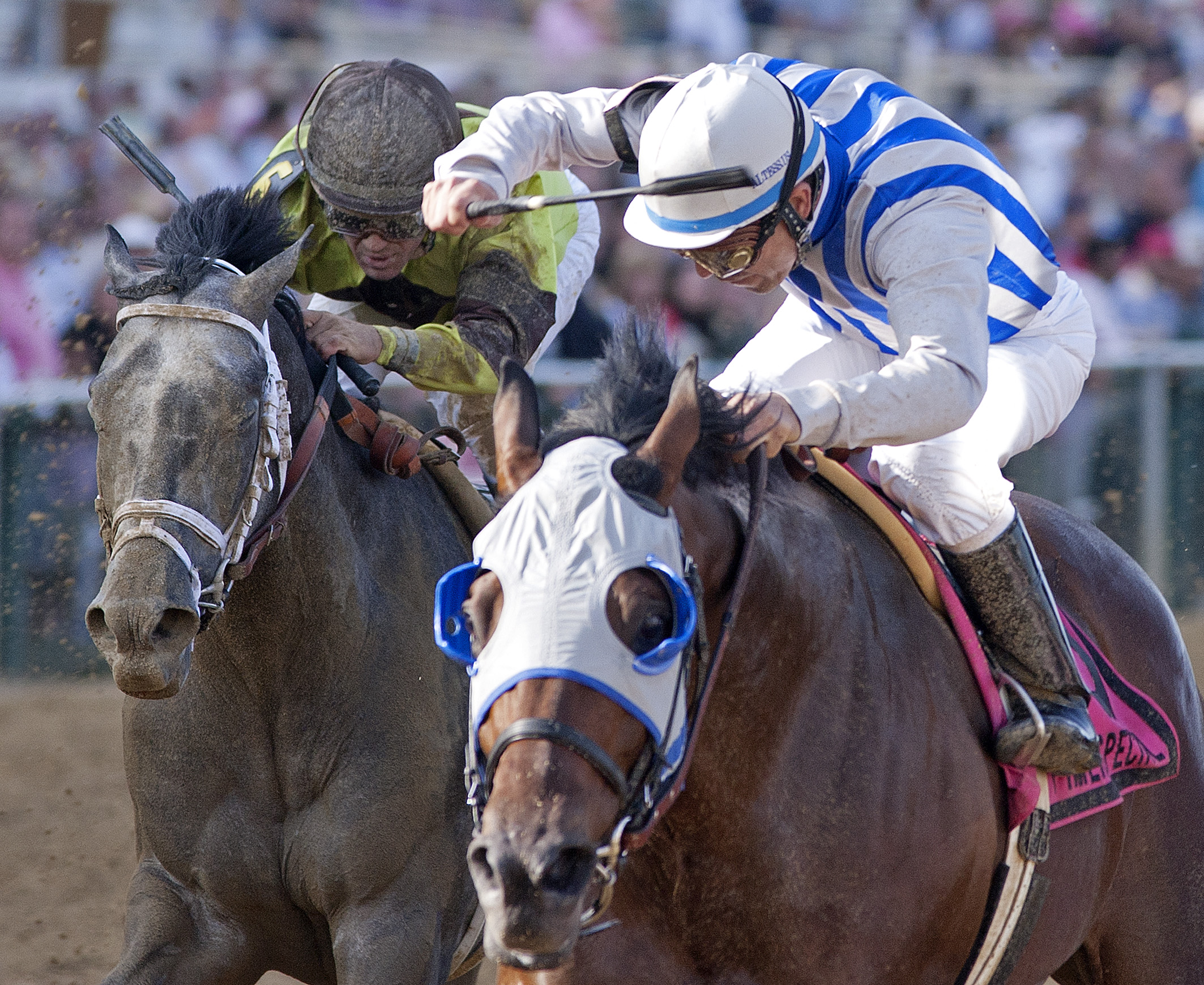 Alternation/Pimlico Special