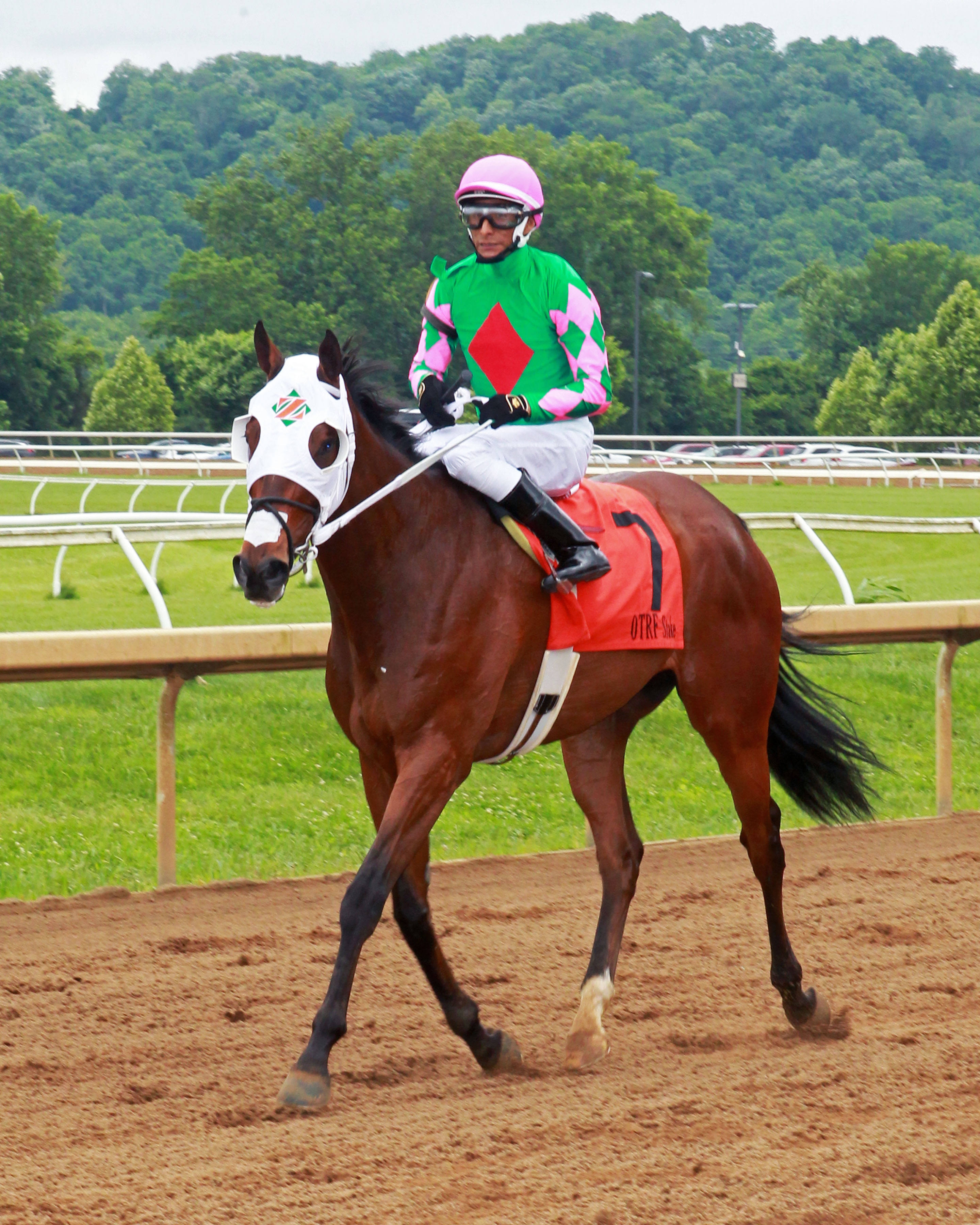 Altissimo following victory in the 2019 Gendelman Memorial