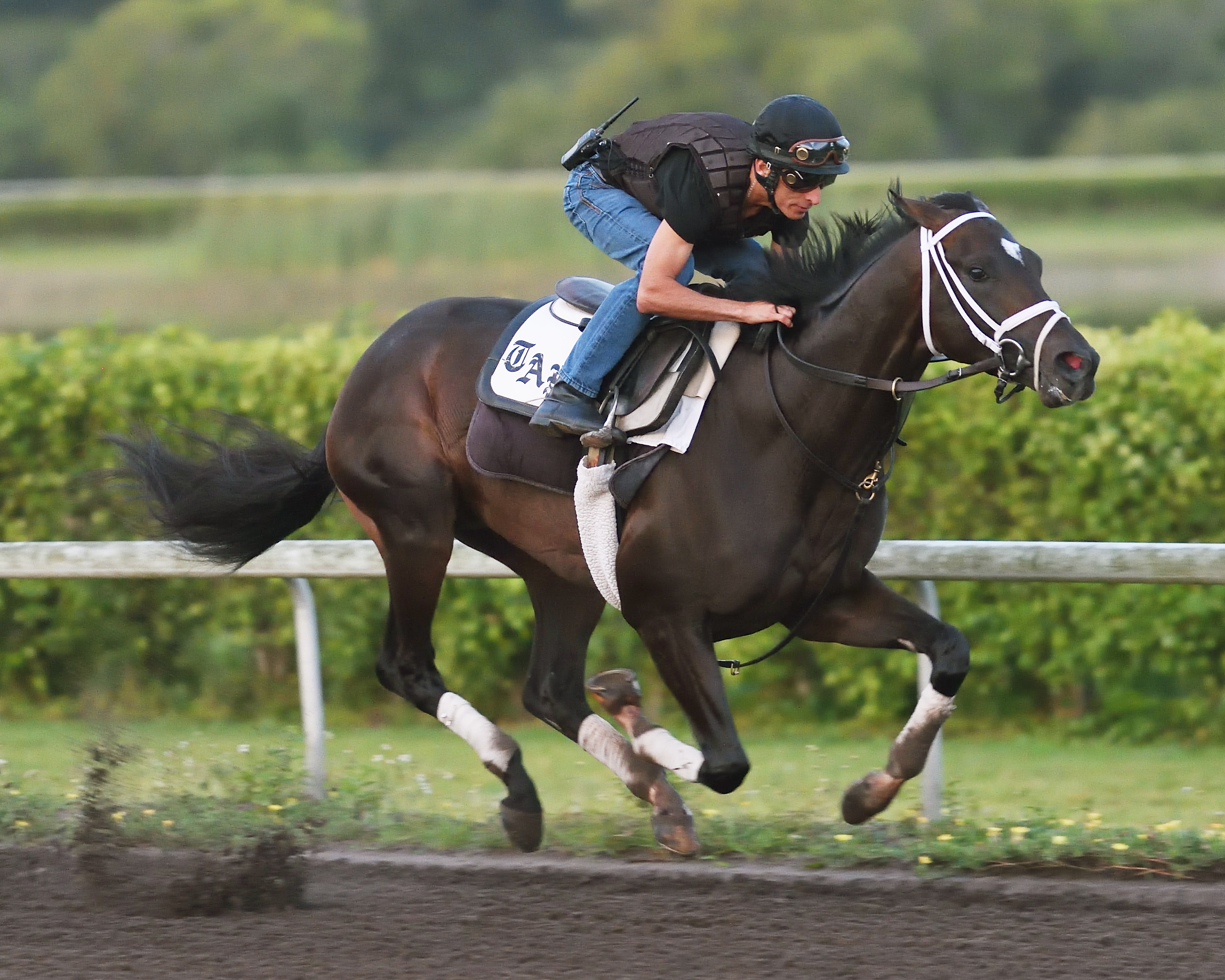 Always Dreaming trains at Palm Beach Downs on April 21