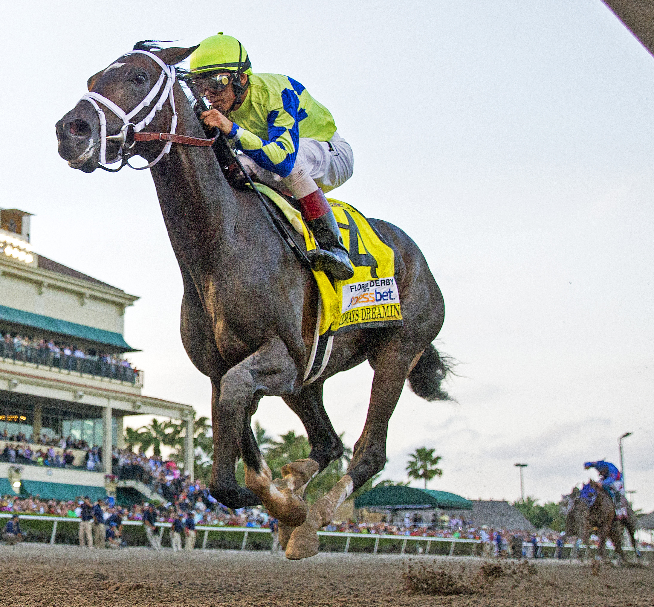 Always Dreaming wins the Florida Derby