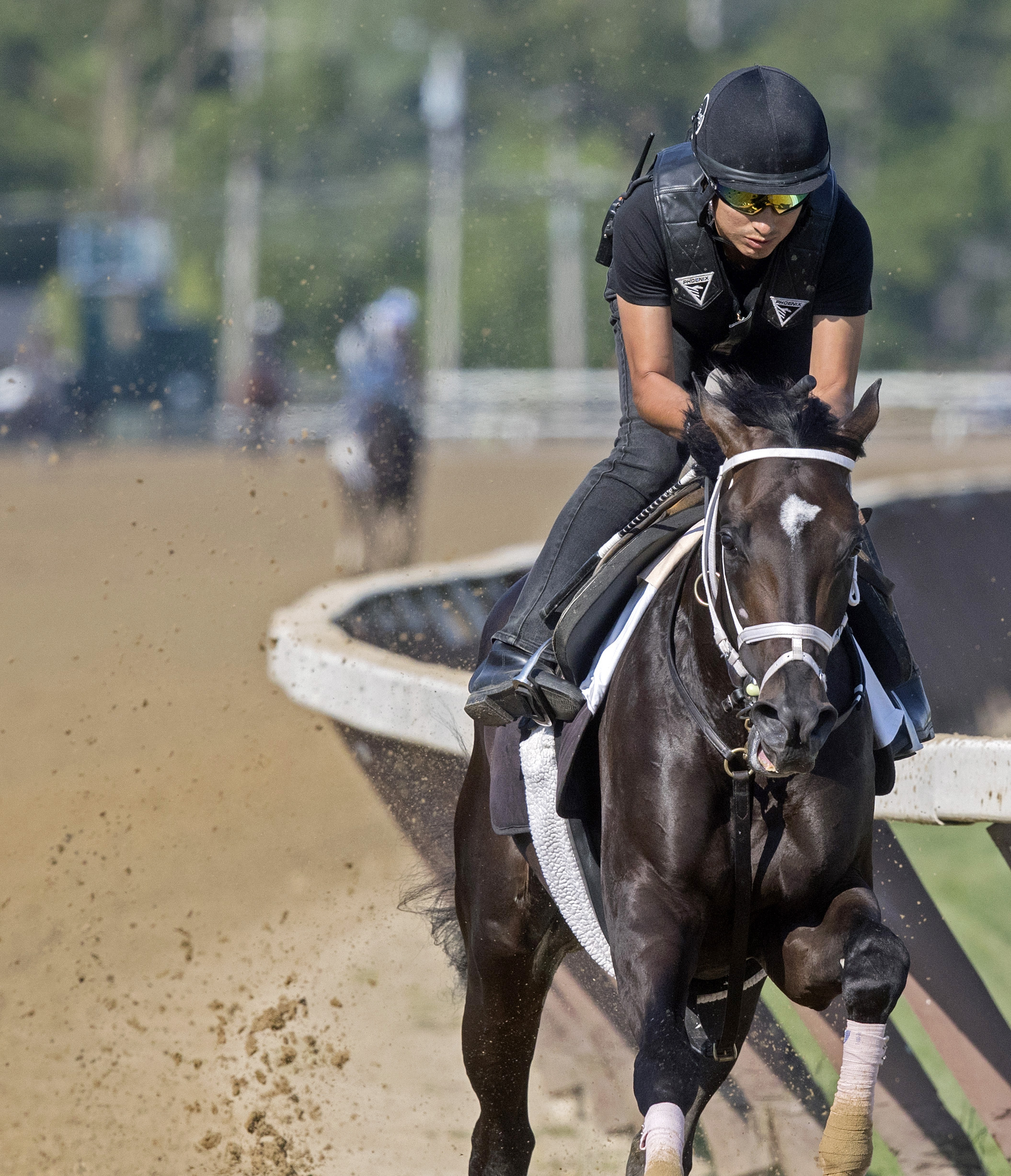 Always Dreaming trains at Saratoga on July 16