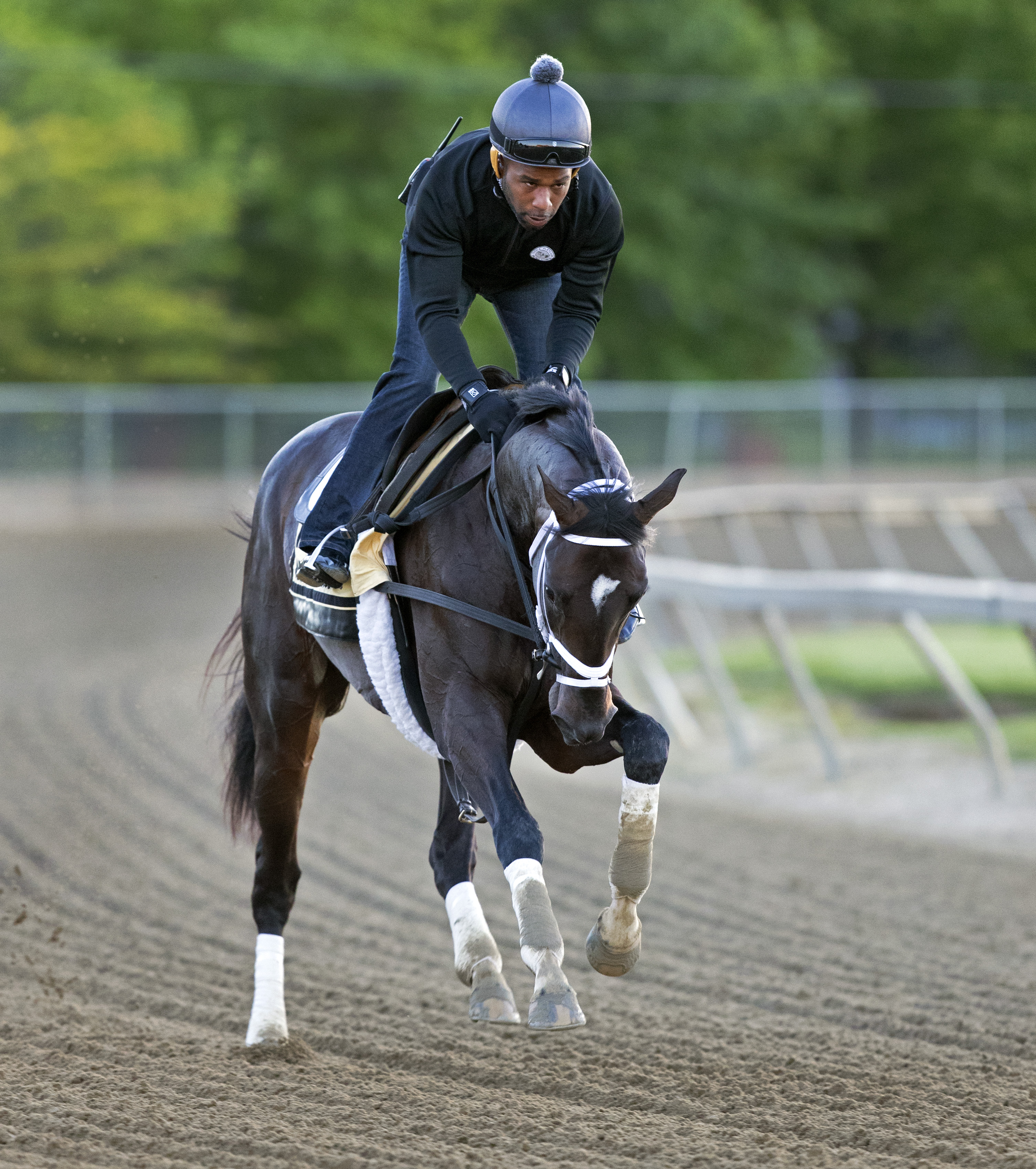 Always Dreaming under Nick Bush training on May 15