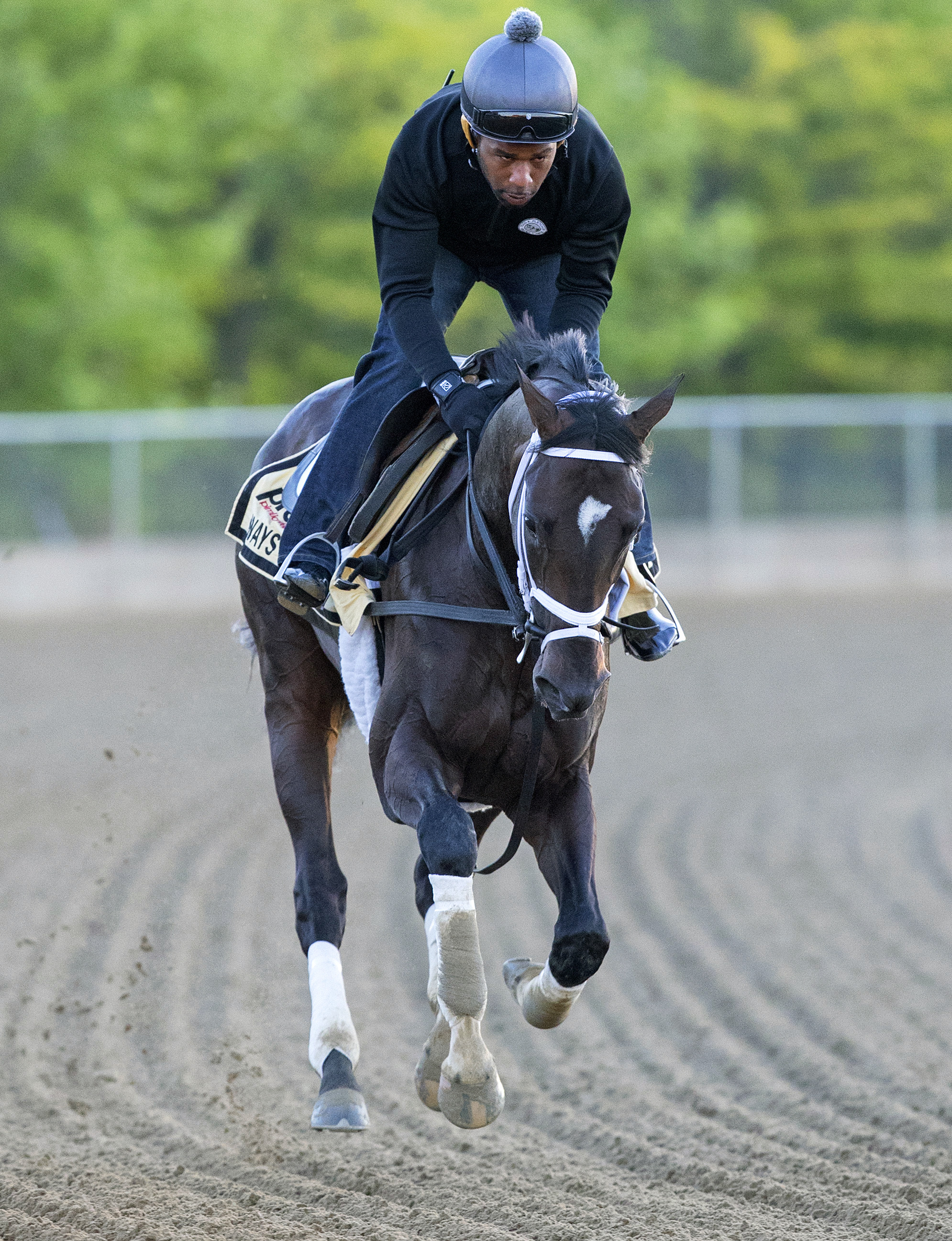 Always Dreaming trains at Pimlico on May 15
