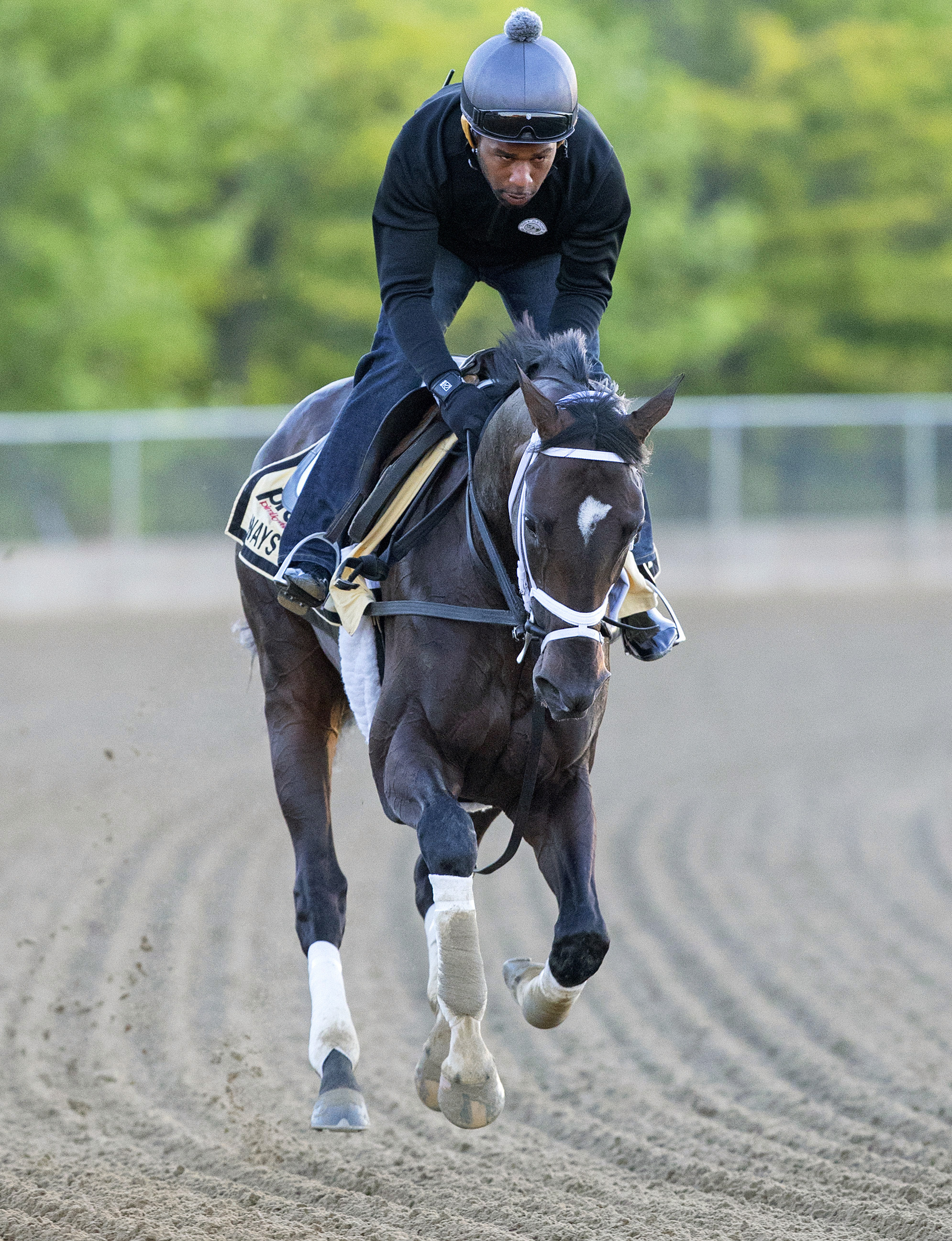 Always Dreaming fresh and eager for Preakness