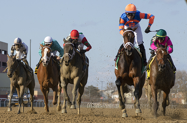 Always Shopping wins the 2019 Gazelle