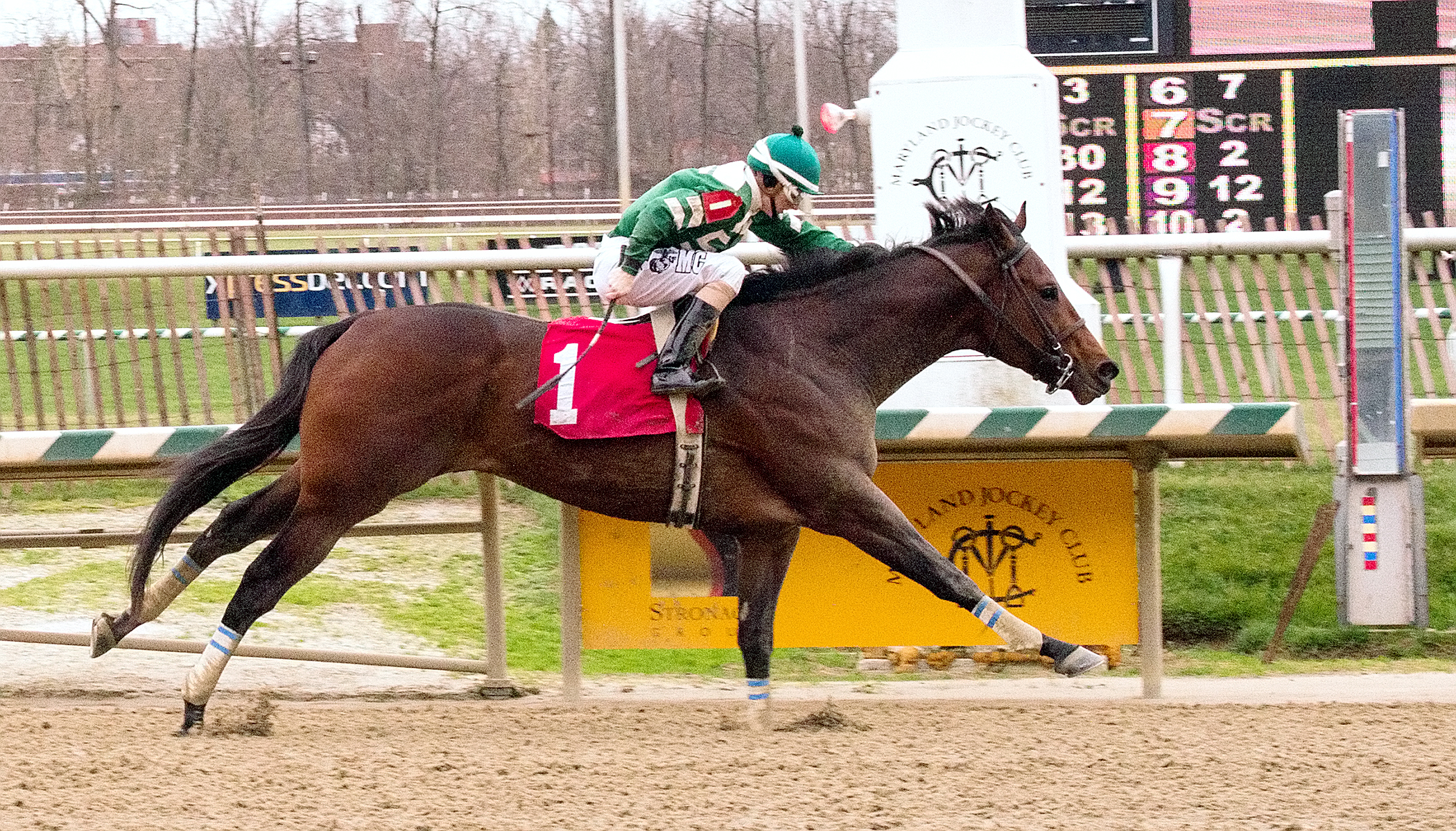 Always Sunshine wins the Dave's Friend Stakes