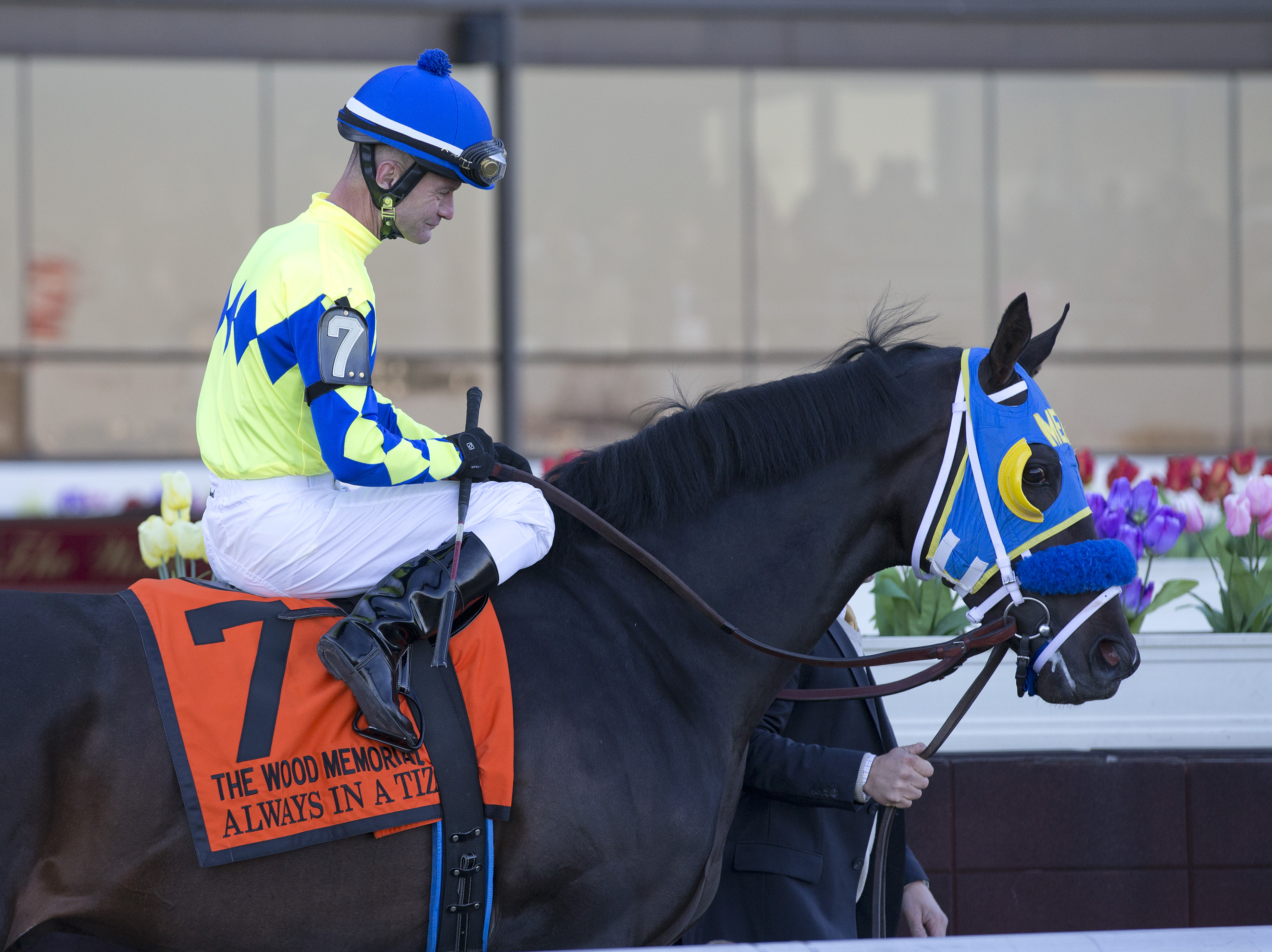 Always in a Tiz, Wood Memorial post parade