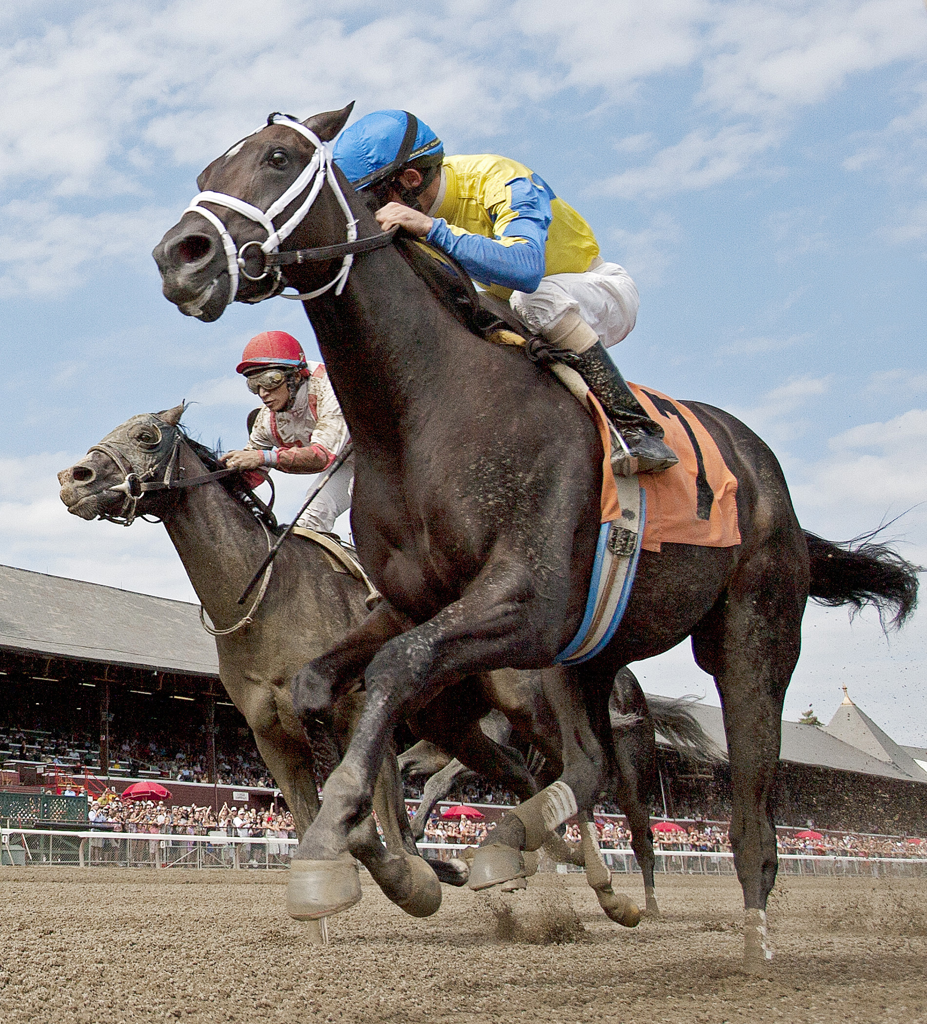 Always in a Tiz, maiden win