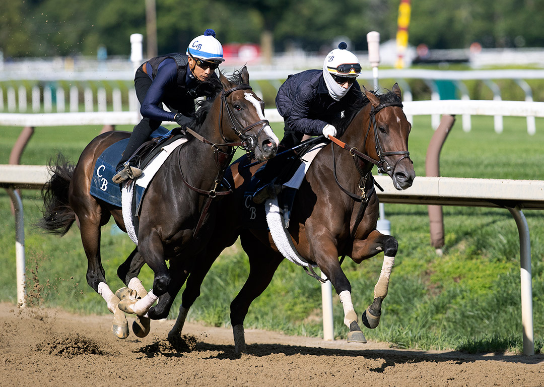 Always Carina (left) and Search Results train at Saratoga Race Course on July 31