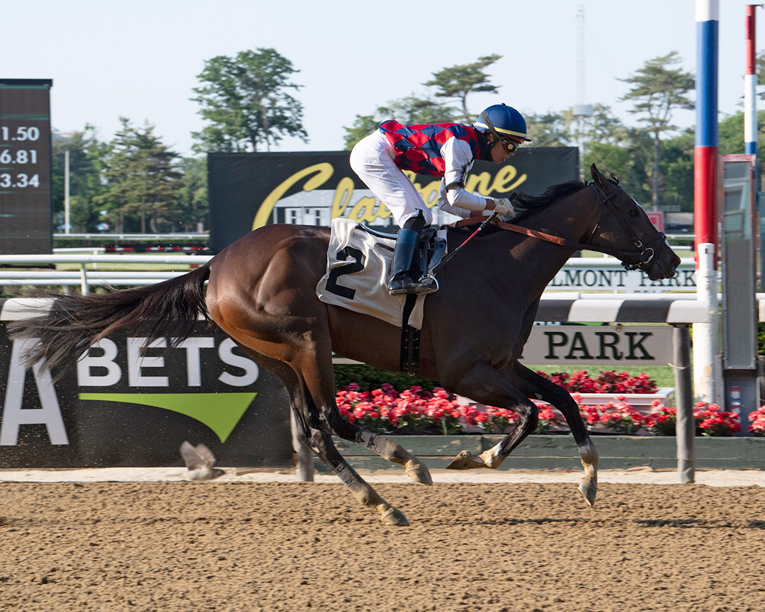 Always Carina wins a May 20 allowance at Belmont Park