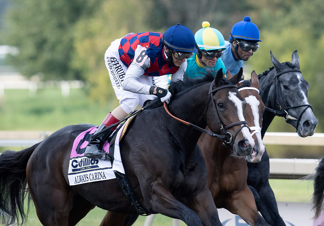 Always Carina finishes fifth in the Cotillion Stakes at Parx Racing