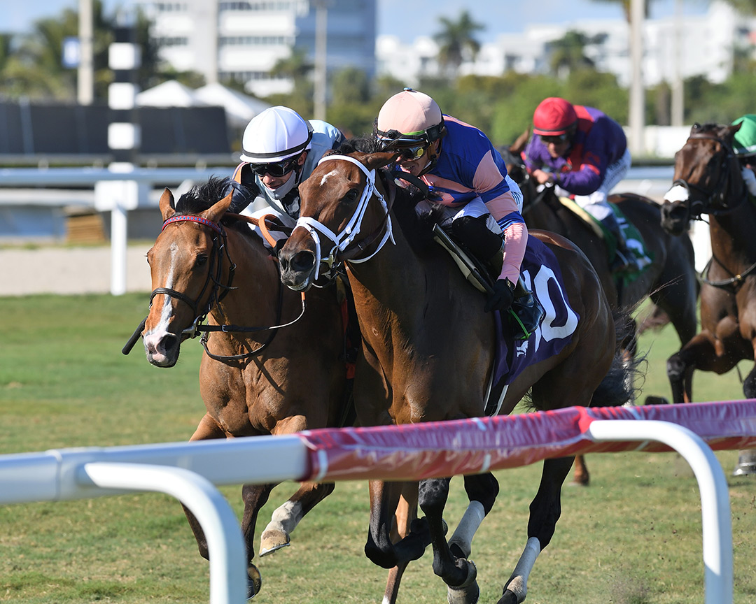 Always Shopping (right) wins the 2021 Via Borghese Stakes at Gulfstream Park