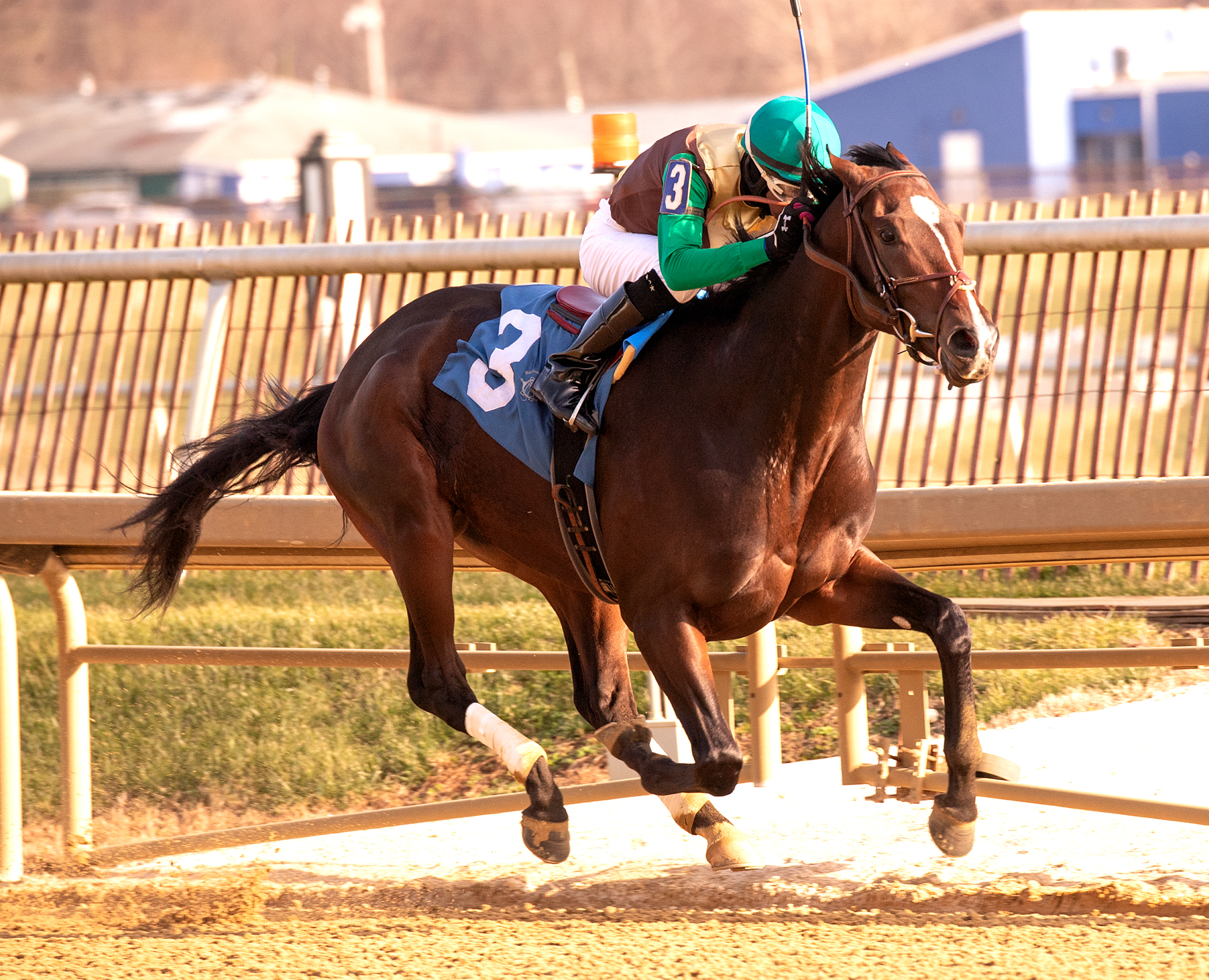 Alwaysmining wins the 2018 Maryland Juvenile Futurity