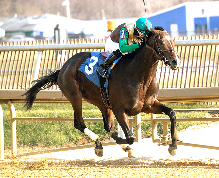 Alwaysmining wins the Maryland Juvenile Futurity