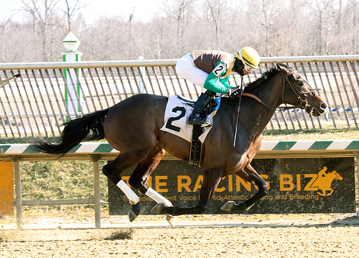 Alwaysmining wins the Miracle Wood Stakes