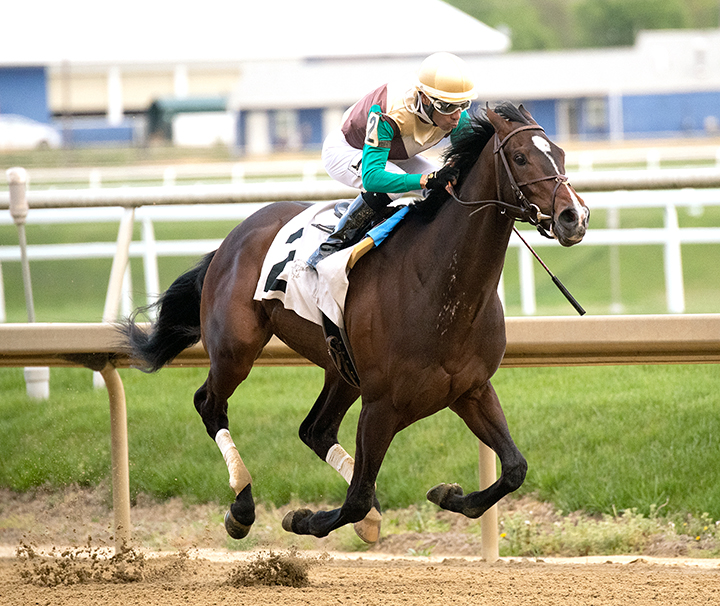 Alwaysmining wins the 2019 Federico Tesio Stakes