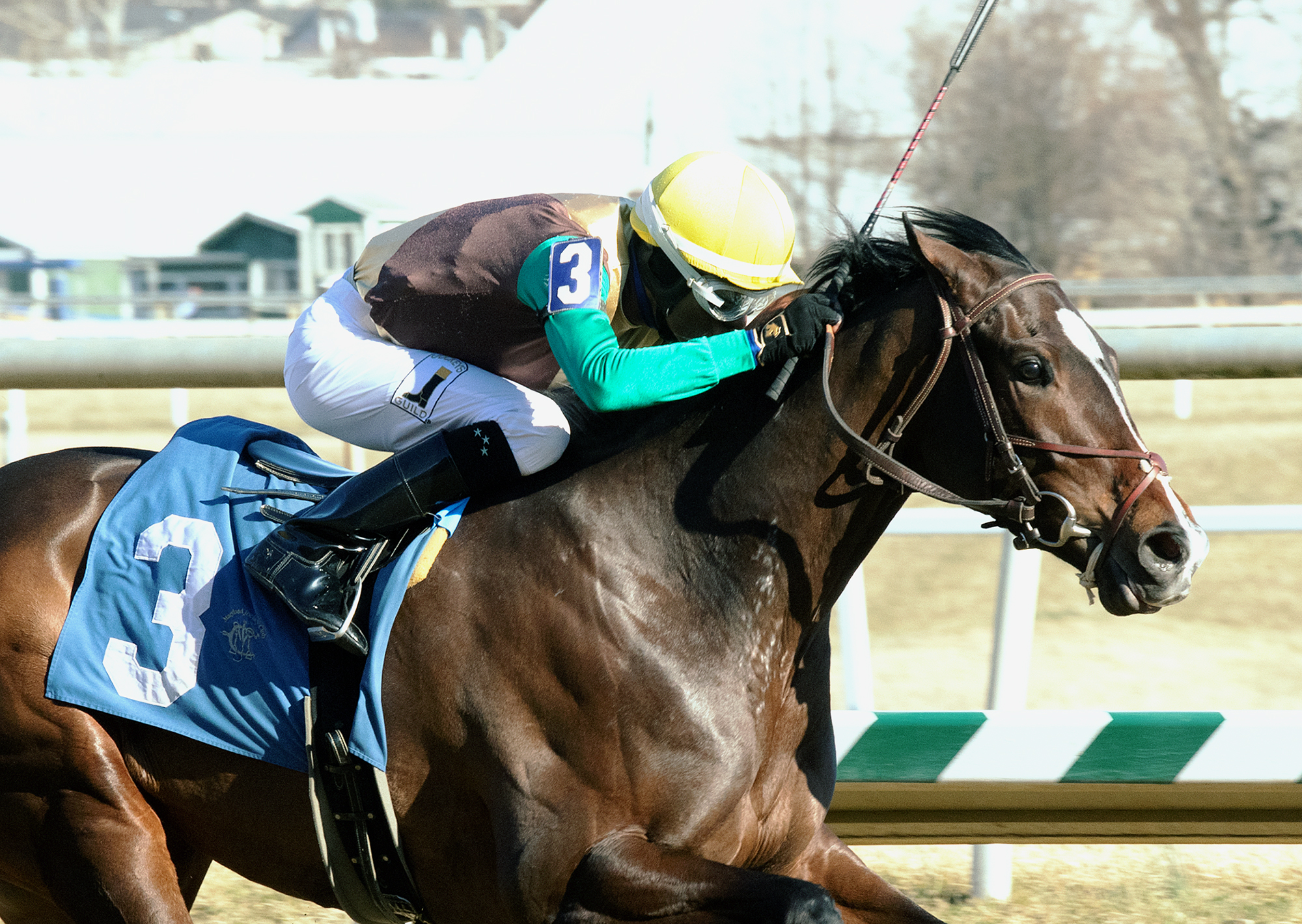 Alwaysmining wins the 2019 Private Terms