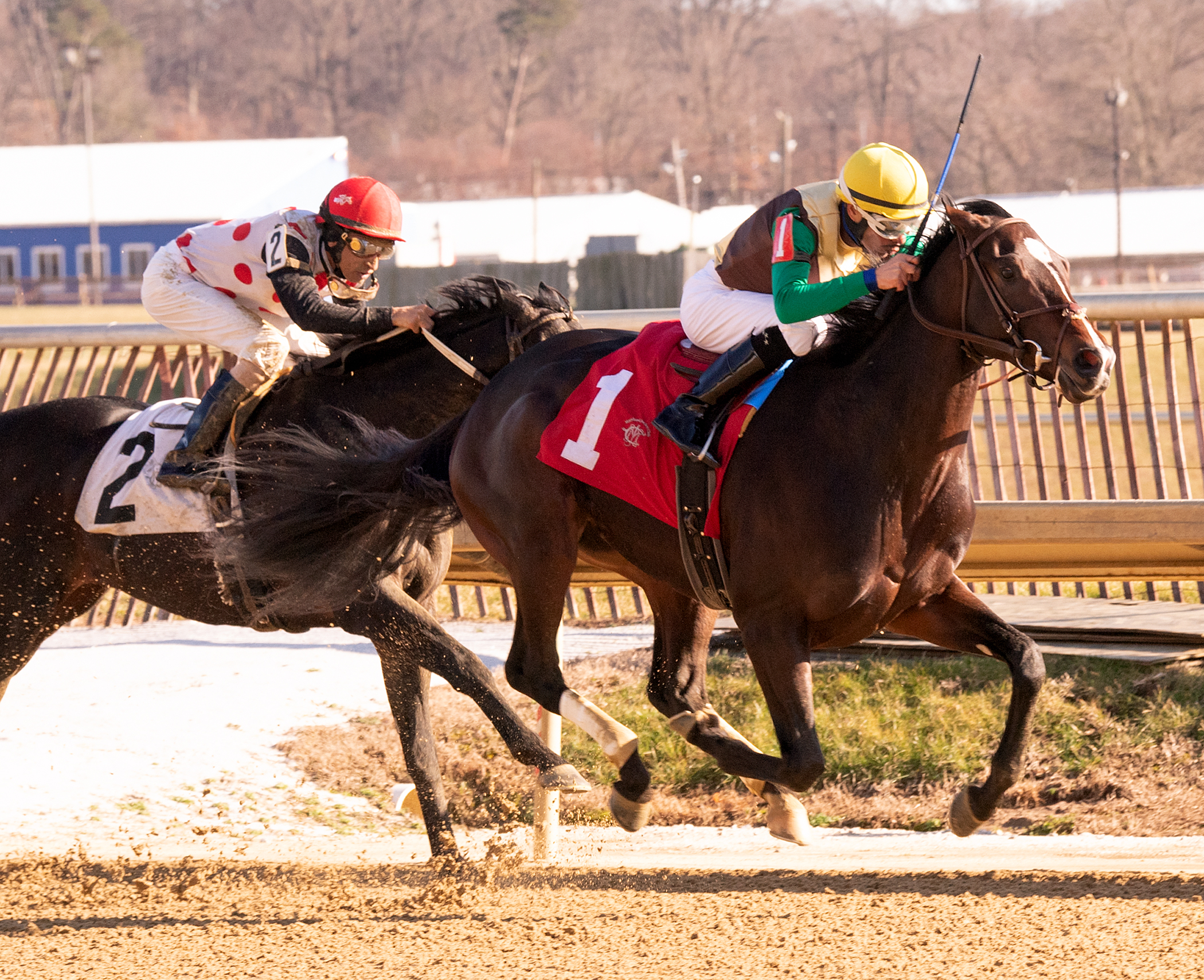 Alwaysmining wins the 2018 Heft Stakes