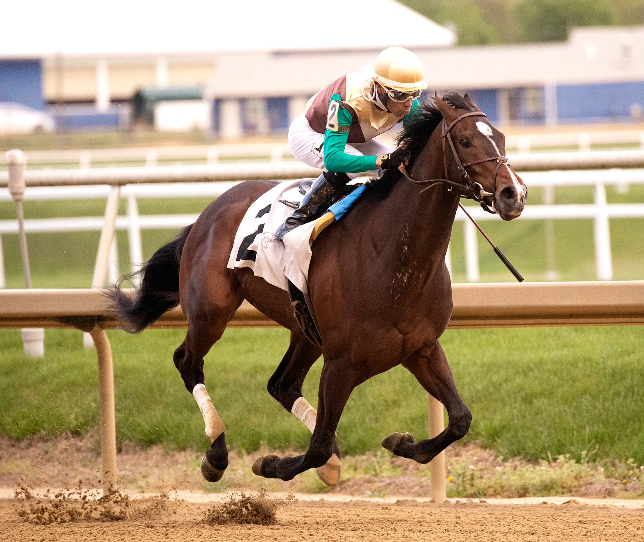 Alwaysmining wins the 2019 Federico Tesio Stakes