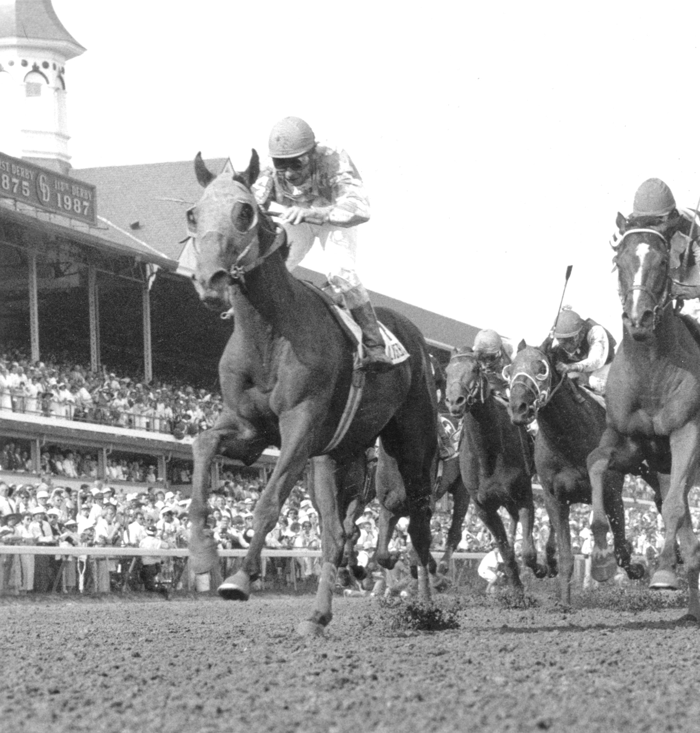 Alysheba