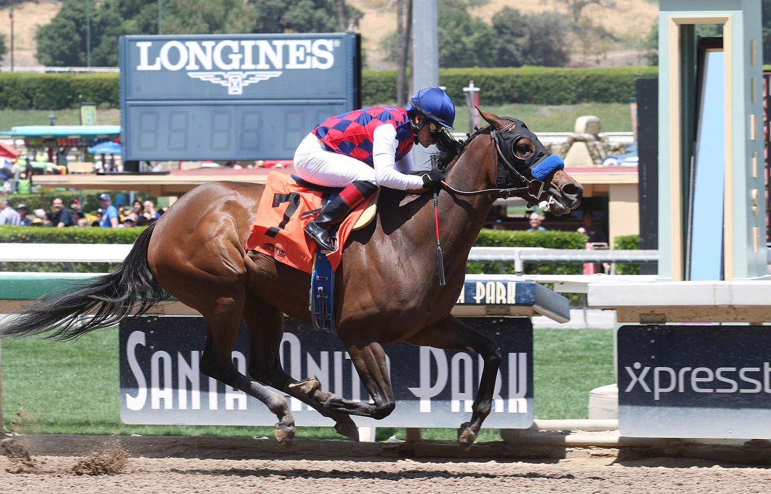 Amada Rafaela wins a May 5 maiden race
