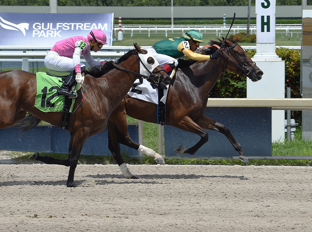Amadora wins a May 28 maiden race at Gulfstream Park