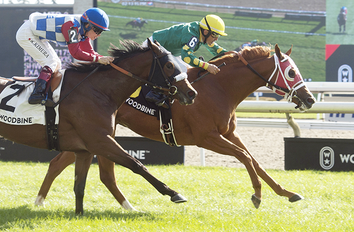 Amalfi Coast (right) wins the 2019 Carotene Stakes at Woodbine Racetrack