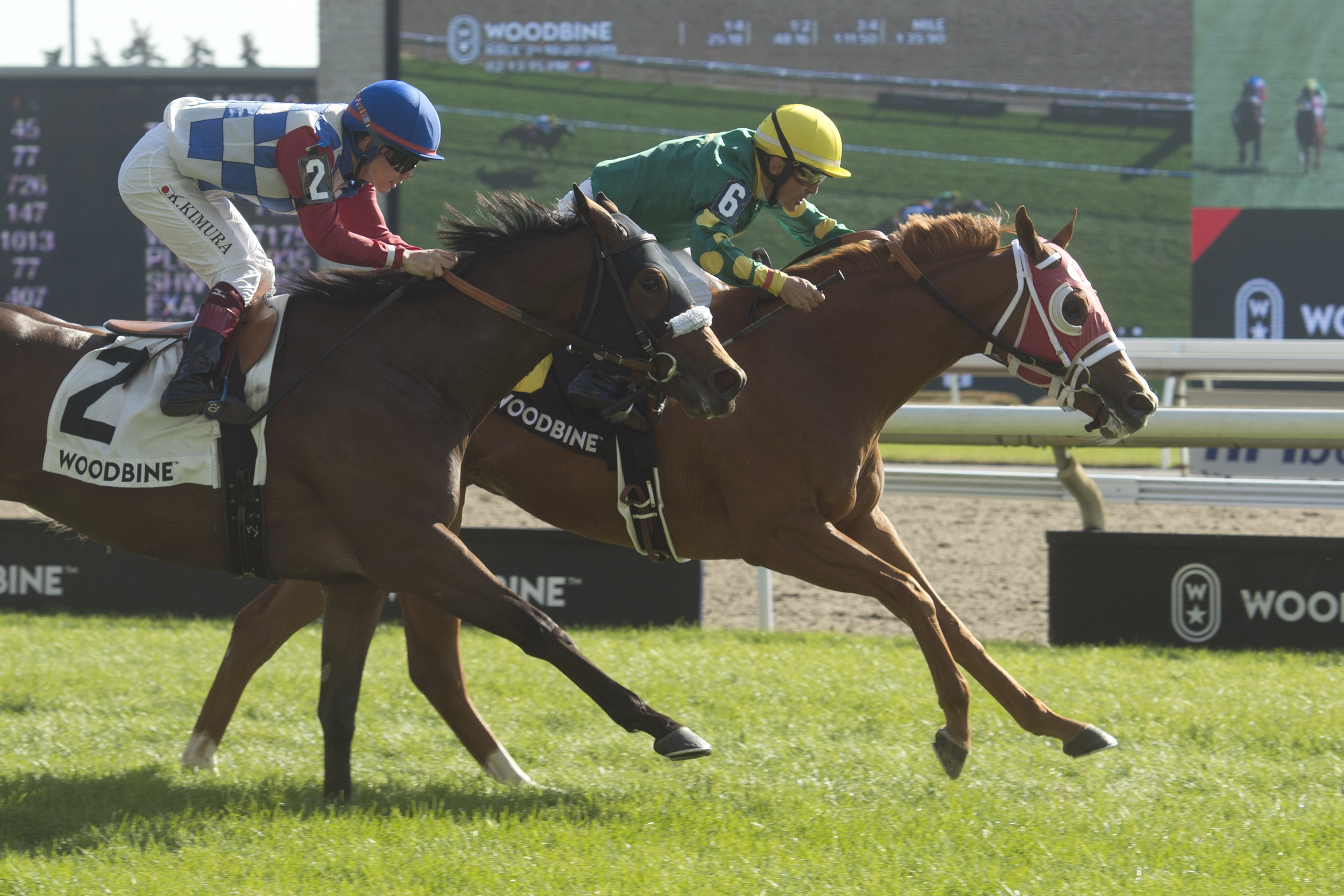 Amalfi Coast wins the 2019 Carotene Stakes