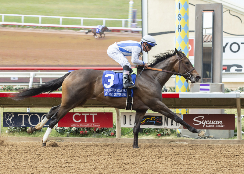 Amalfi Sunrise wins the 2019 Sorrento Stakes