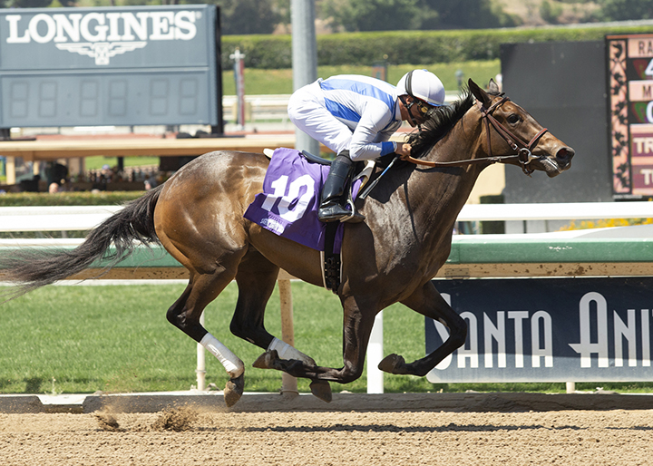 Amalfi Sunrise wins a June 23 maiden race