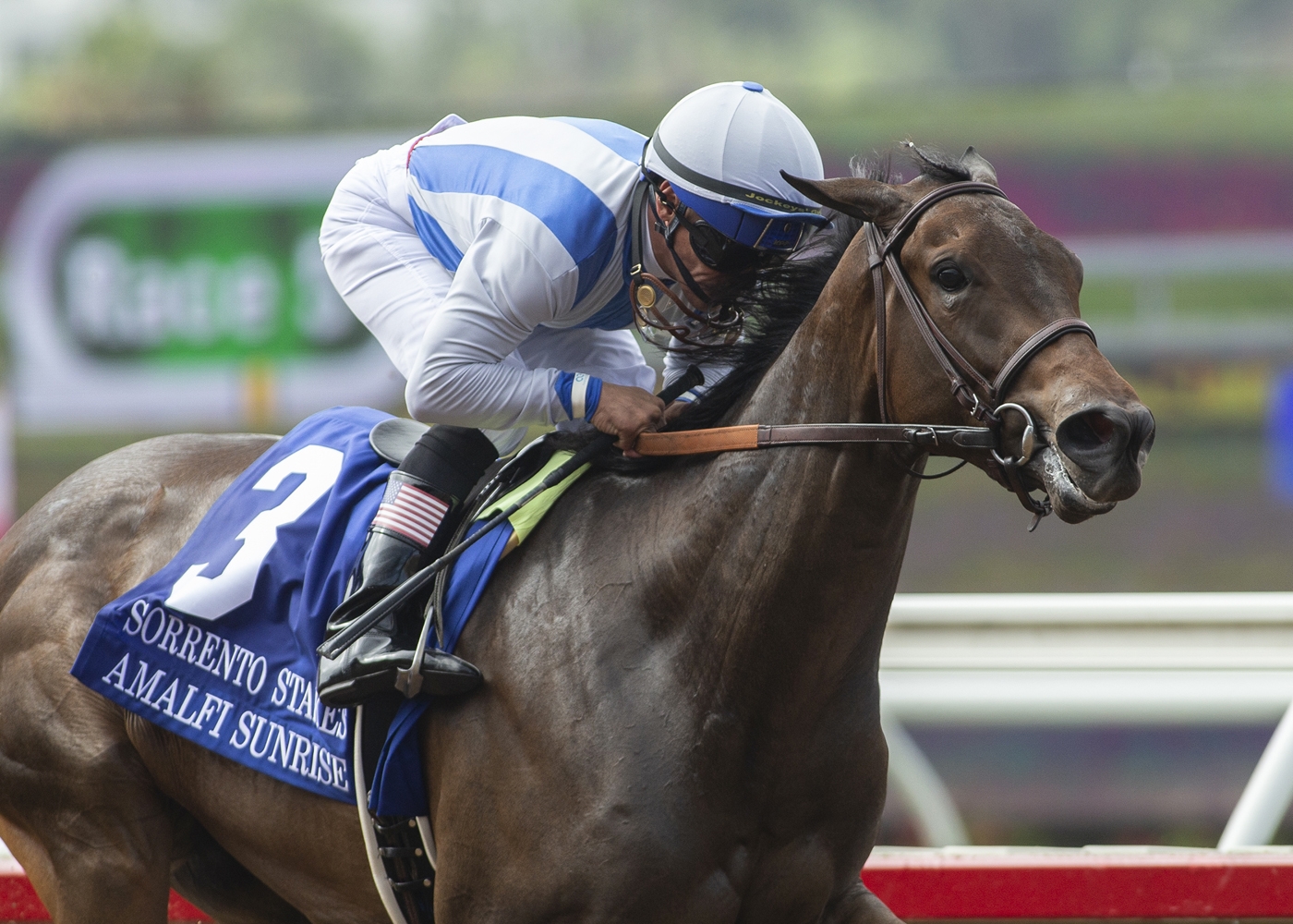Amalfi Sunrise wins the 2019 Sorrento Stakes