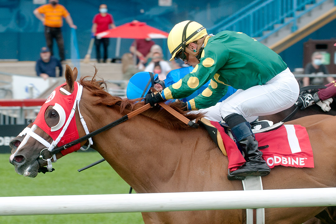 Amalfi Coast wins the 2021 Royal North Stakes at Woodbine Racetrack