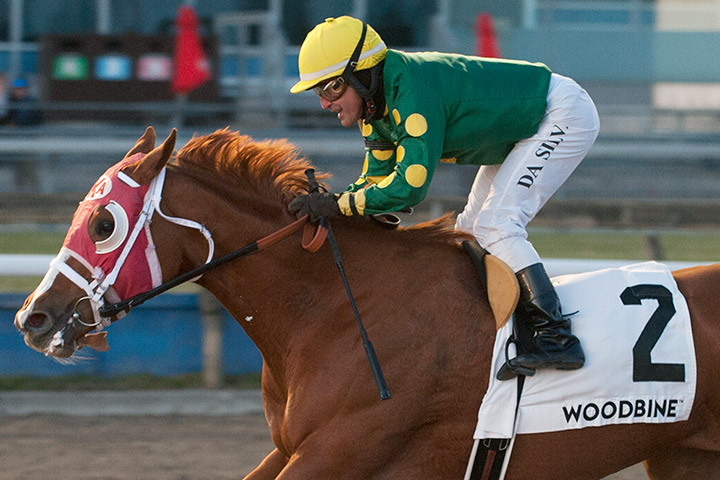 Amalfi Coast wins the 2019 Bessarabian Stakes at Woodbine