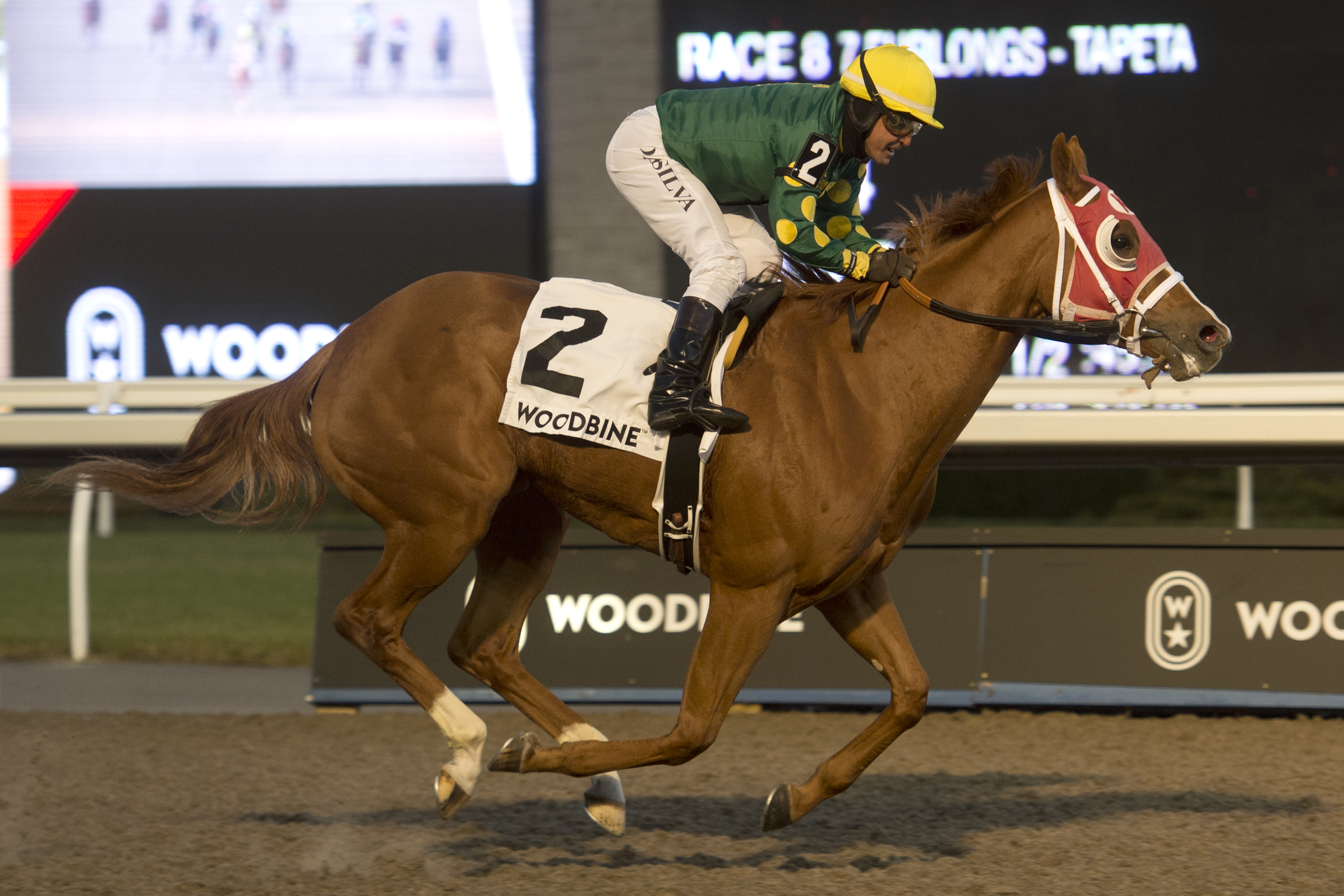 Amalfi Coast wins the 2019 Bessarabian Stakes