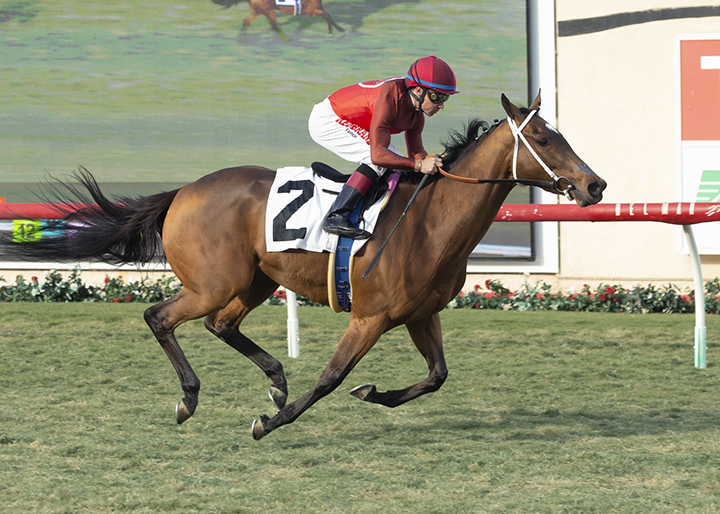 Amandine wins a Nov. 22 allowance race