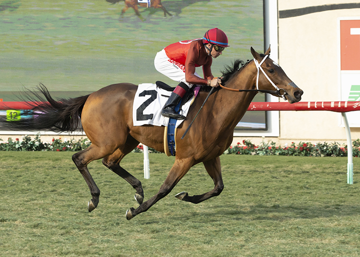 Amandine wins a Nov. 22 allowance race