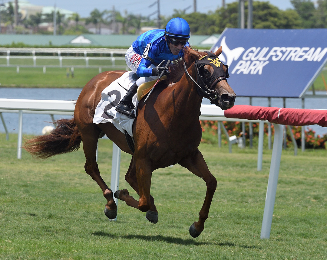 Amanzi Yimpilo wins a June 10 maiden race at Gulfstream Park