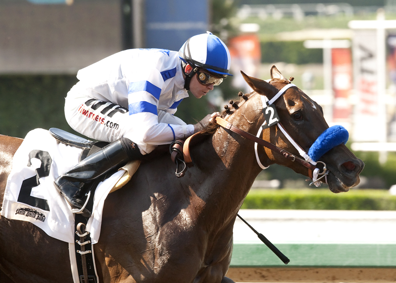 Amaranth wins 2015 Desert Stormer
