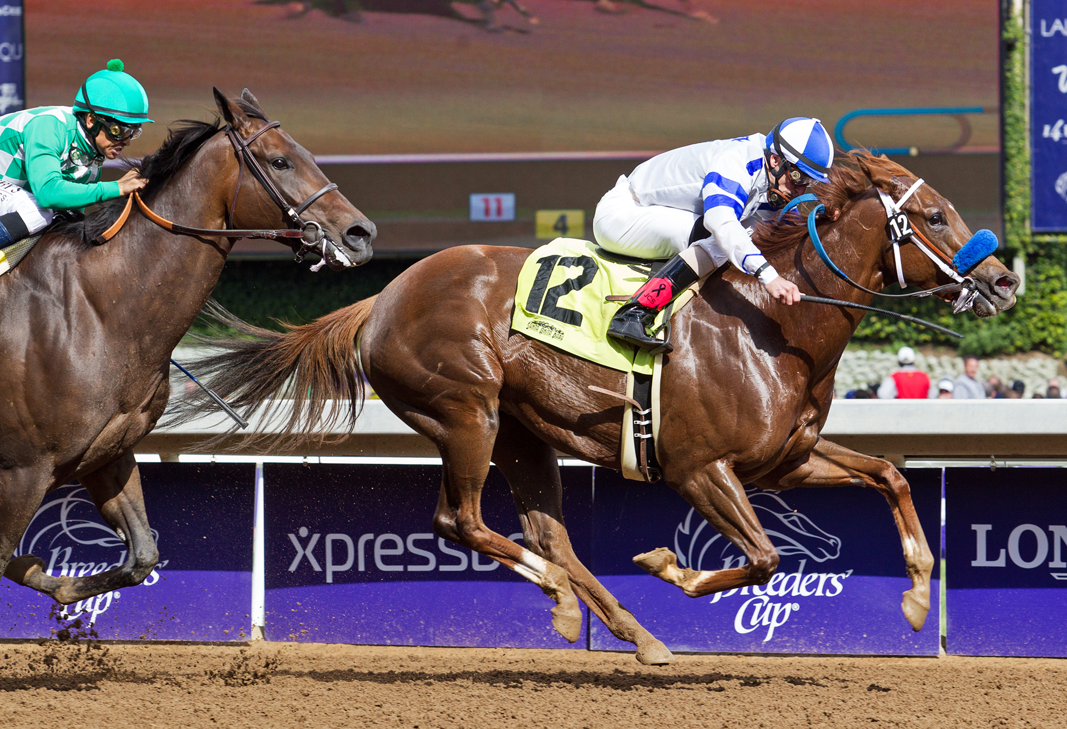 Amaranth wins the Sen. Ken Maddy