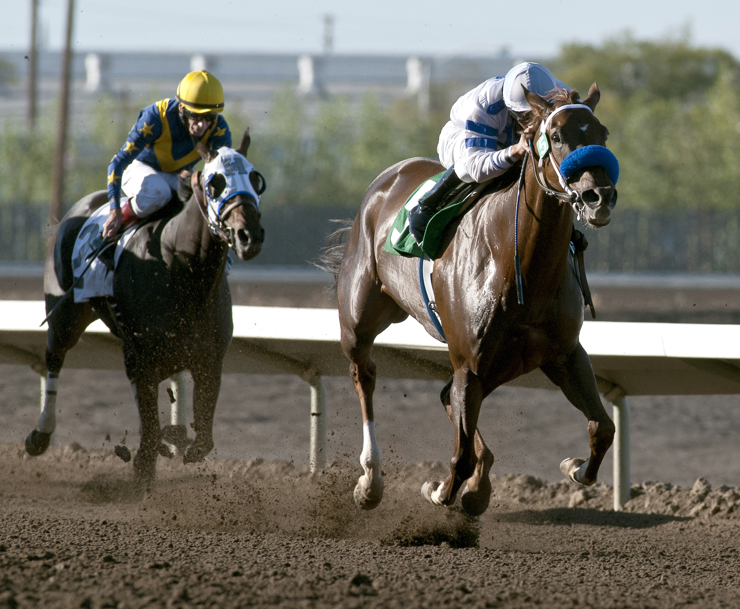 Amaranth wins the Asparagus Stakes