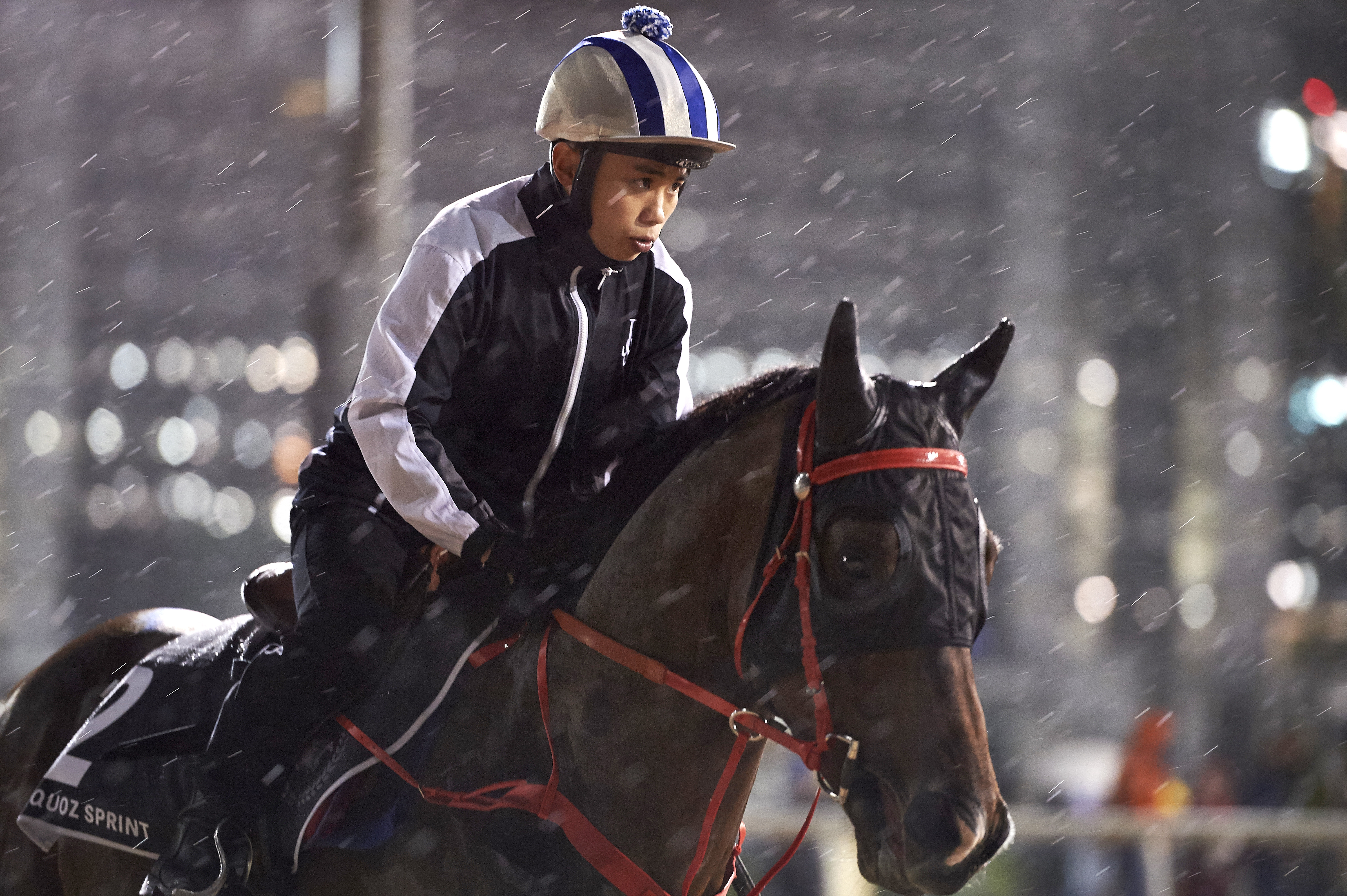 Amazing Kids trains at Meydan Racecourse in March 2017