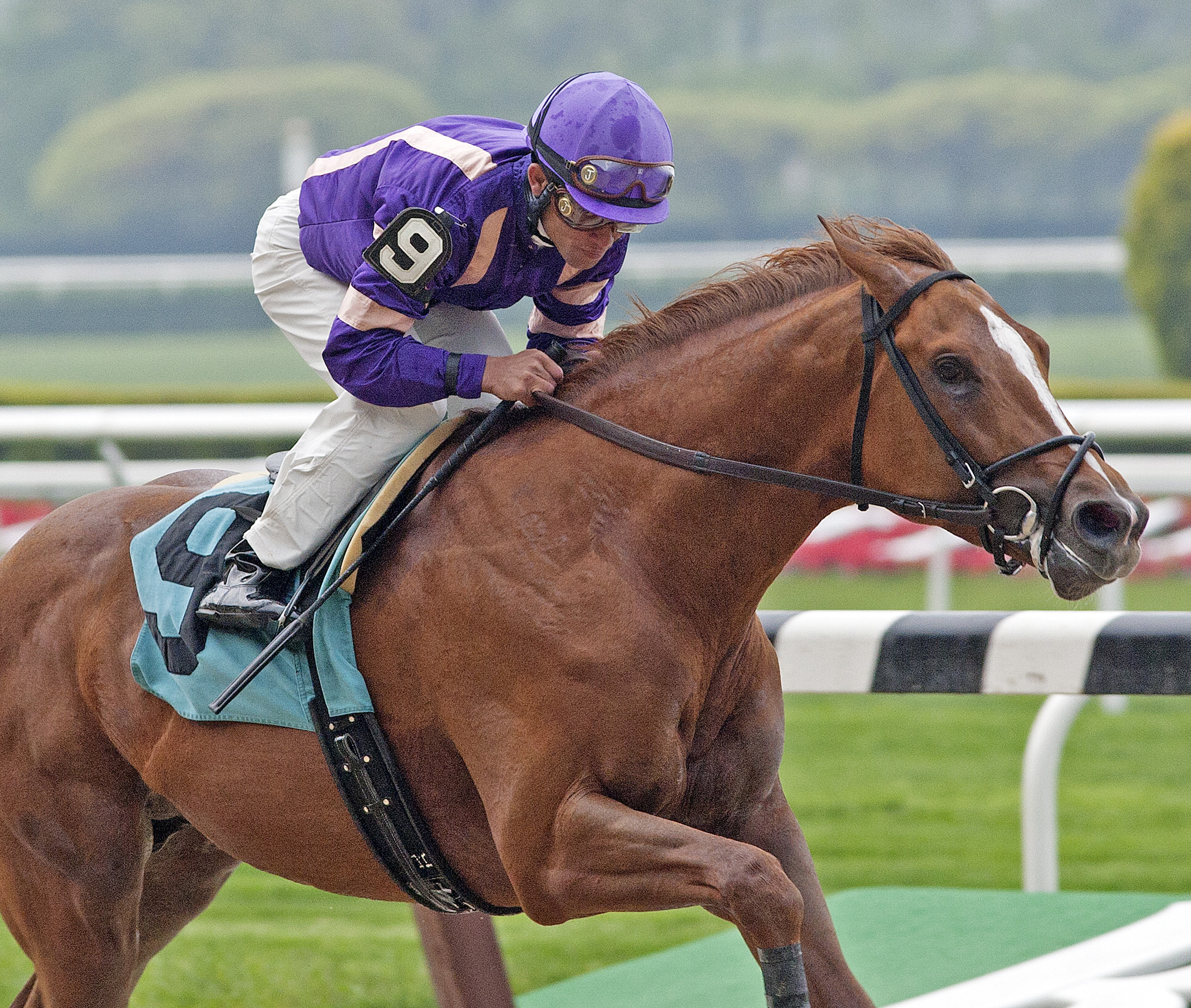 Amberjack, allowance win