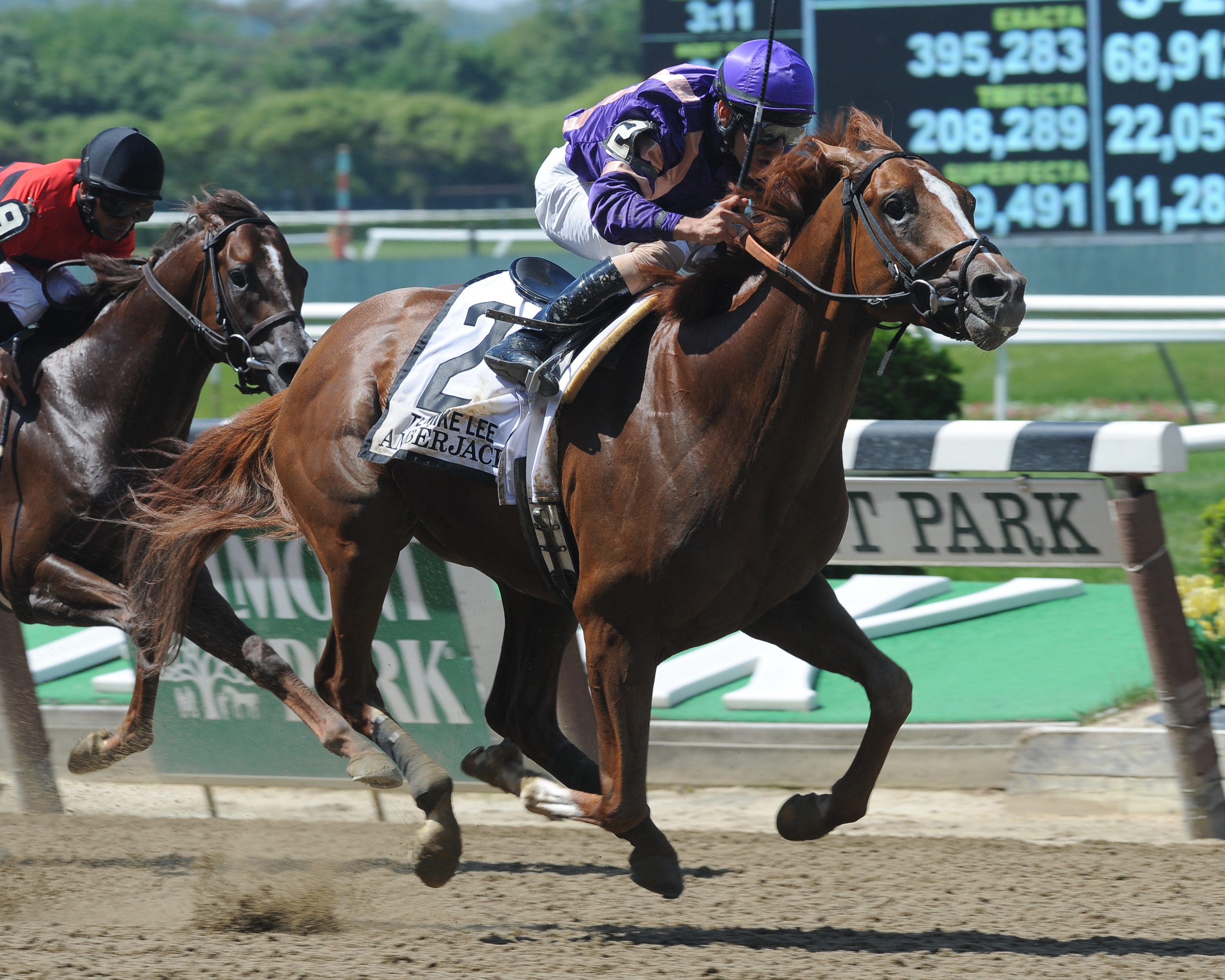 Amberjack, Mike Lee Stakes