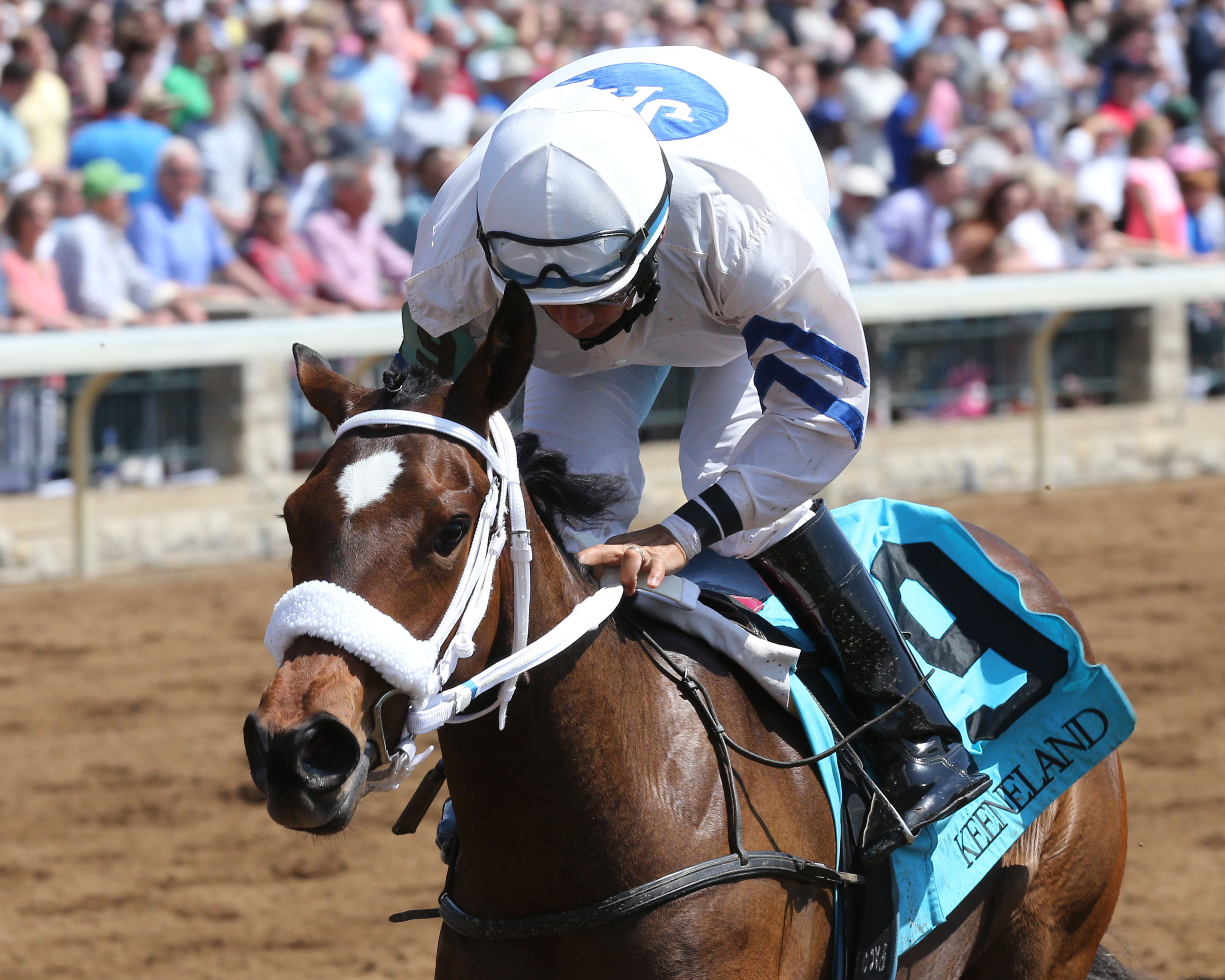 Amberspatriot wins a maiden race