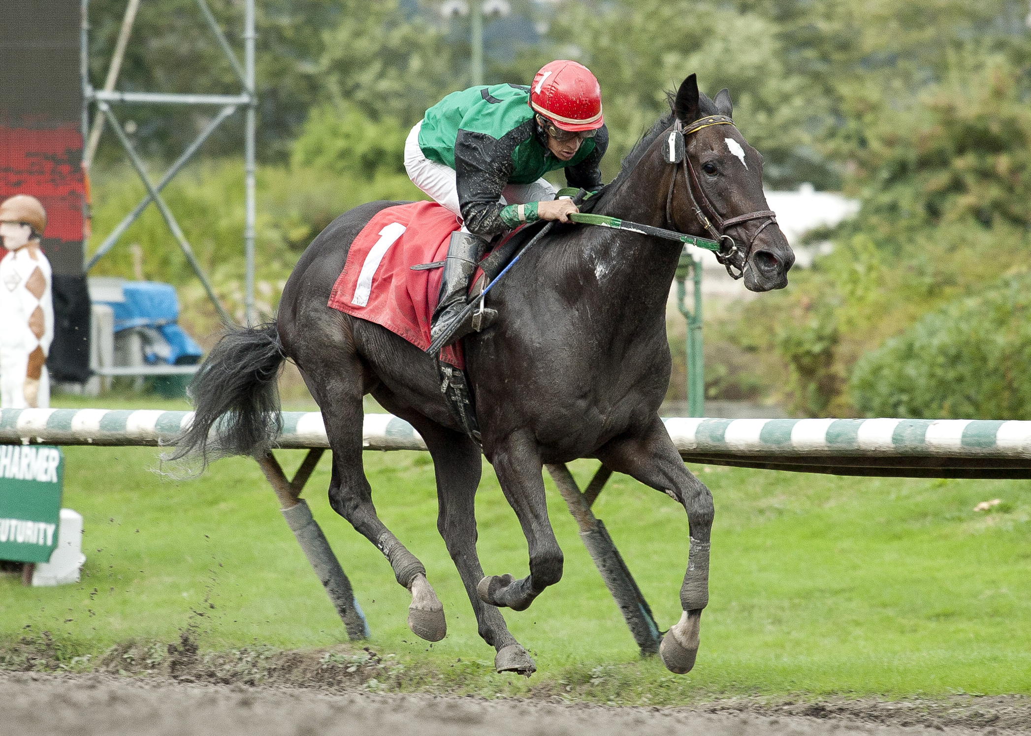 Ambidextrous Duke wins a claiming race